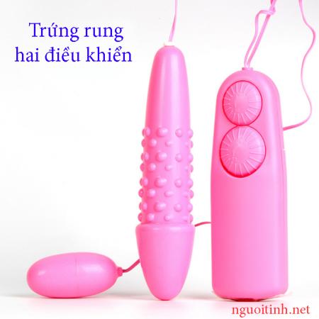 Mua bán Trứng rung 2 điều khiển
